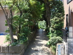 DSC092581jpg