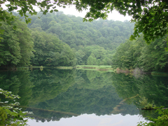 DSC09215jpg