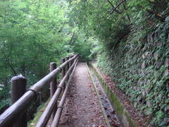 DSC092301jpg