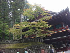 DSC093101jpg