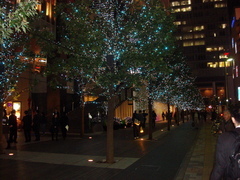UDXイルミネーション2009