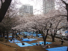 DSC09717JPG