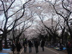 DSC097311jpg