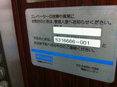 5316666001