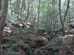 DSC099871jpg
