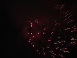 DSC02369jpg