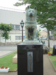 hatikojpg