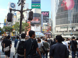 sibuya1jpg