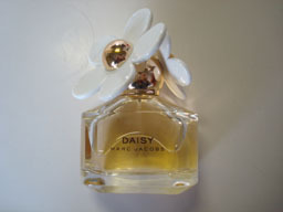 daisy1jpg