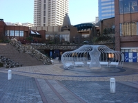DSC07051.jpg