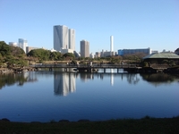 浜離宮恩賜公園