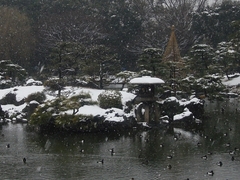 清澄庭園の雪見灯籠